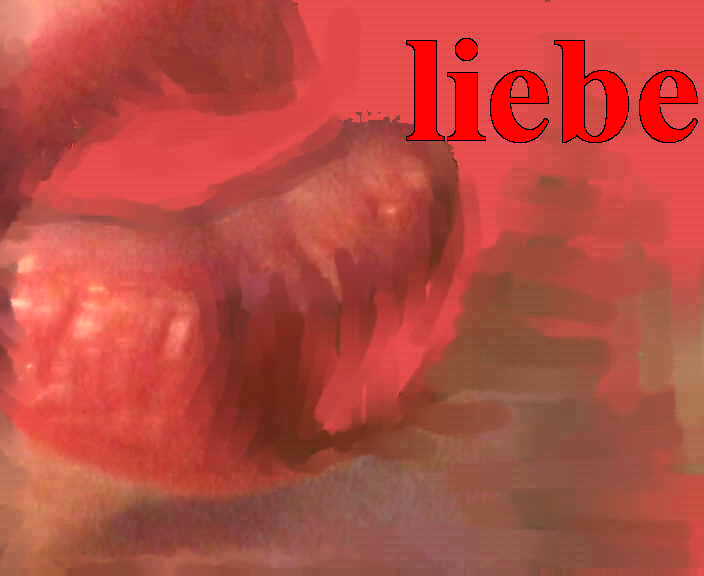 Bild 12, klicken Sie auf das Bild um es vergrößert zu sehen