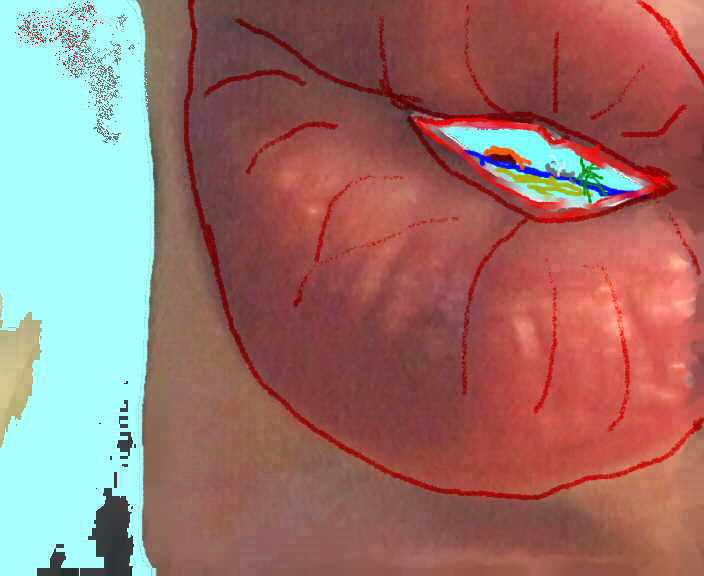 Bild 16, klicken Sie auf das Bild um es vergrößert zu sehen
